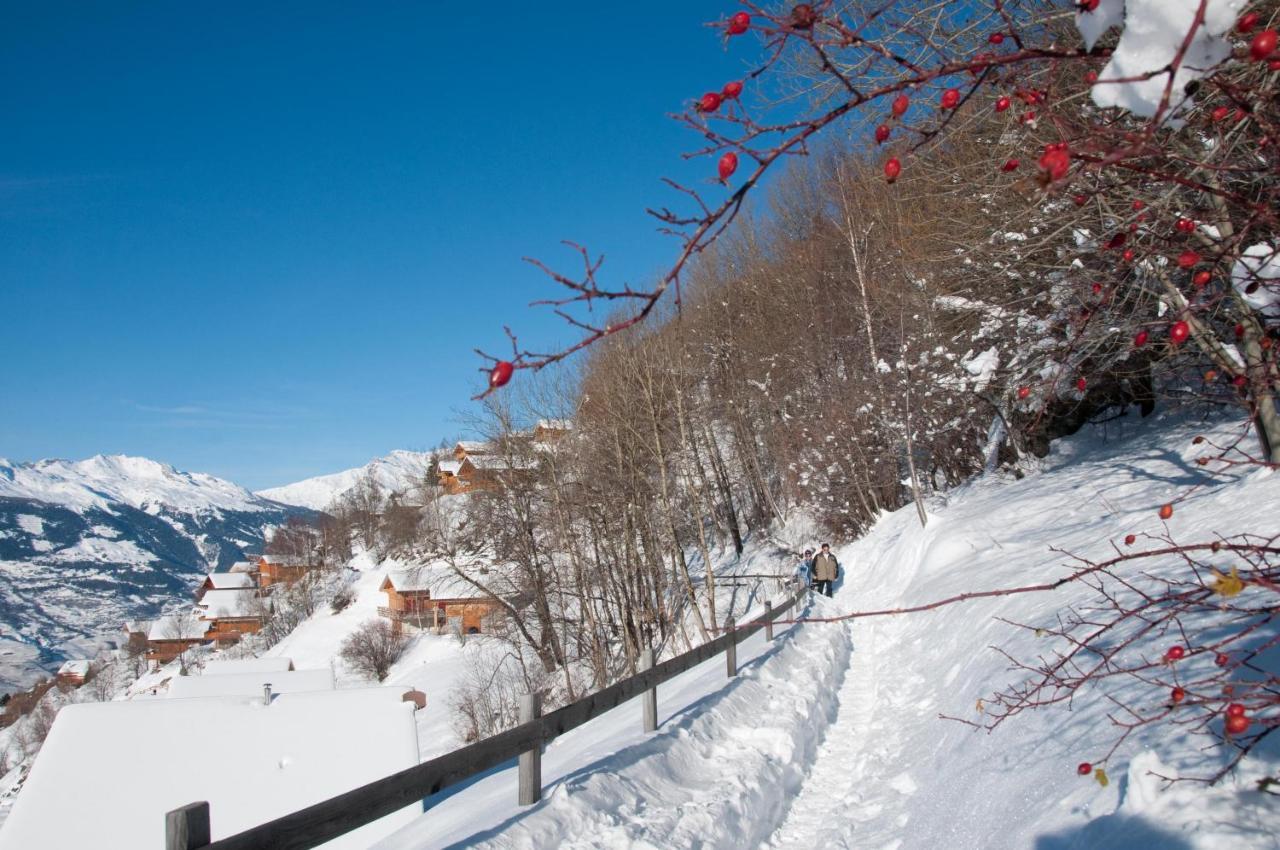 Greppons Cosy & Mountain Apartments By Alpvision Residences Veysonnaz Eksteriør billede