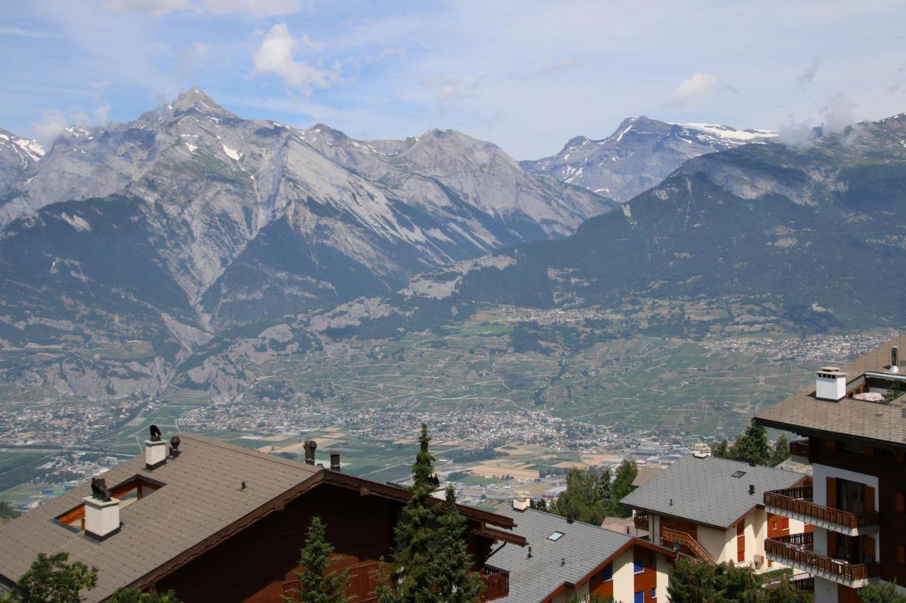 Greppons Cosy & Mountain Apartments By Alpvision Residences Veysonnaz Eksteriør billede