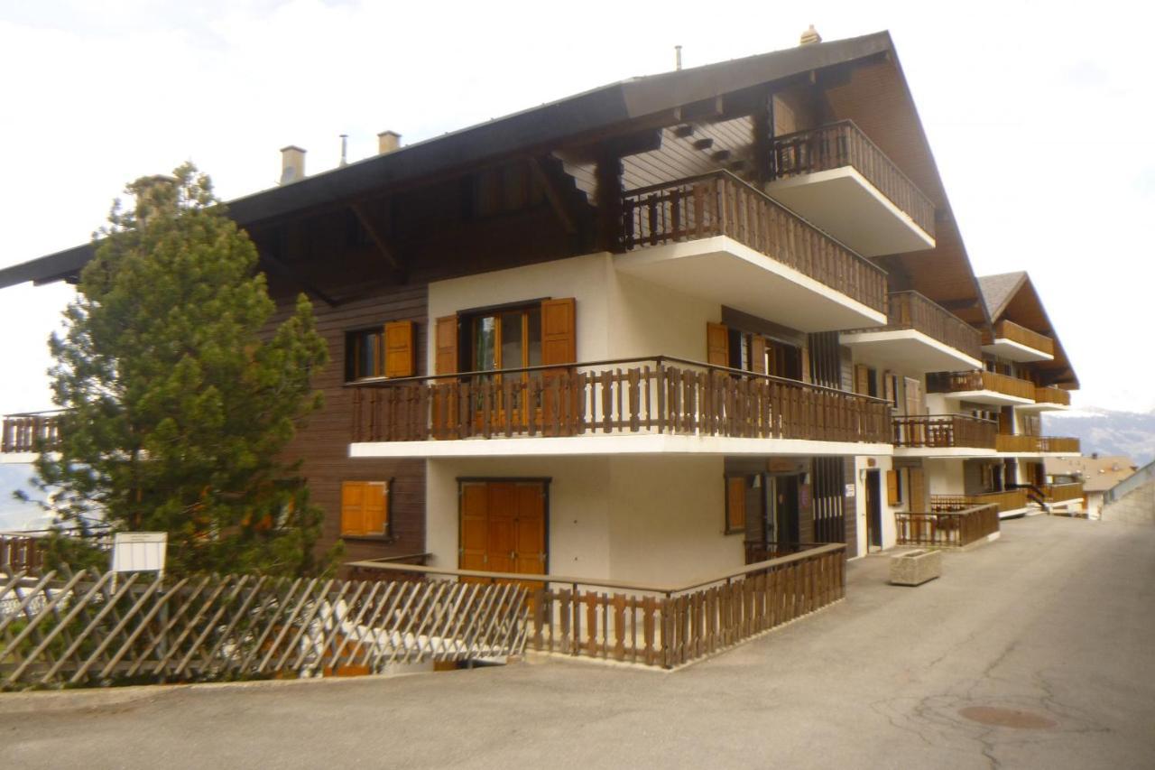 Greppons Cosy & Mountain Apartments By Alpvision Residences Veysonnaz Eksteriør billede