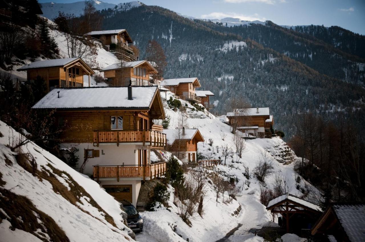 Greppons Cosy & Mountain Apartments By Alpvision Residences Veysonnaz Eksteriør billede