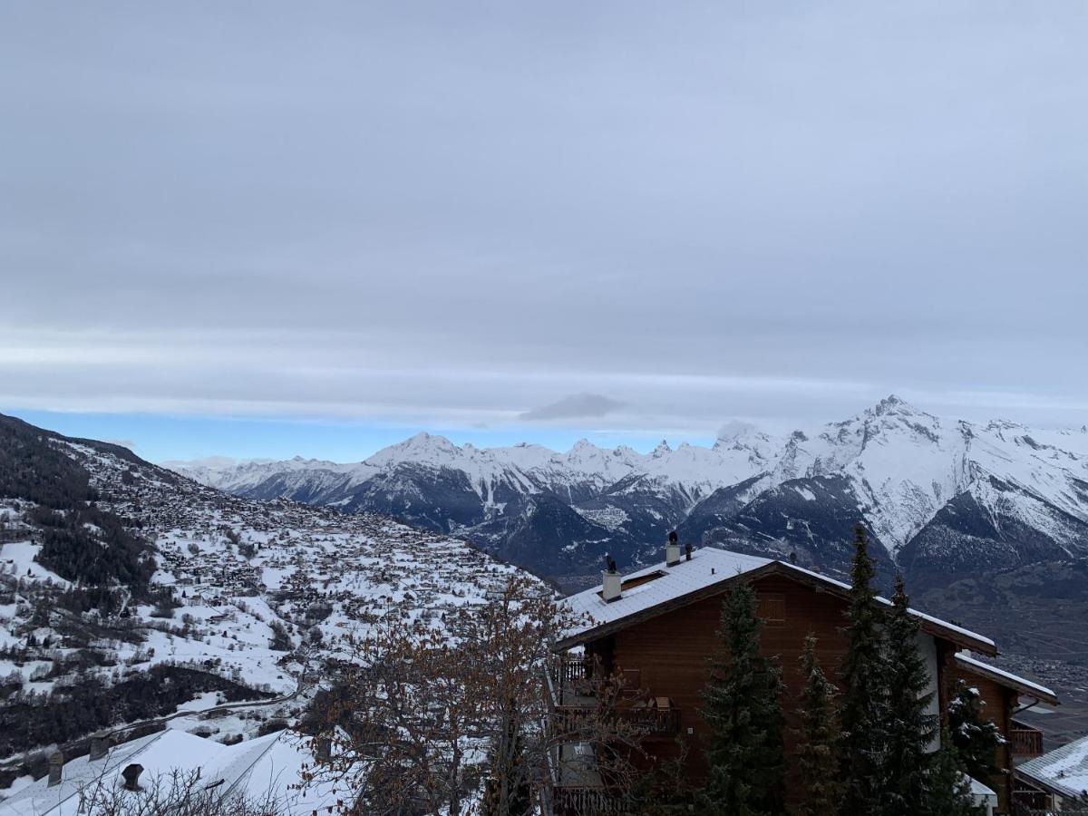 Greppons Cosy & Mountain Apartments By Alpvision Residences Veysonnaz Eksteriør billede