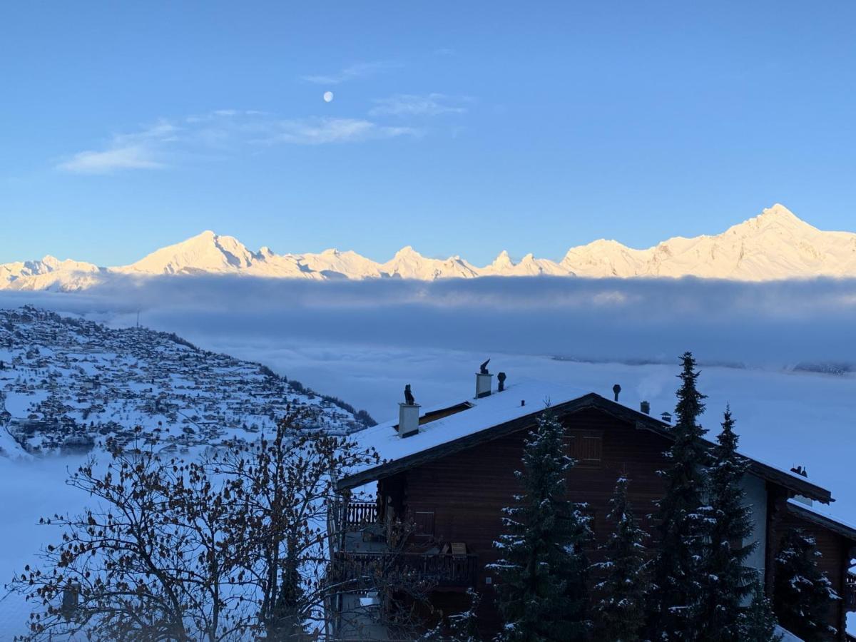 Greppons Cosy & Mountain Apartments By Alpvision Residences Veysonnaz Eksteriør billede